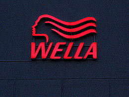 �������� �������